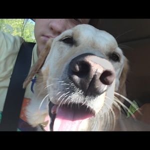 Meet your Posher, Blake